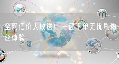 全网低价大放送!一键下单无忧刷粉丝体验
