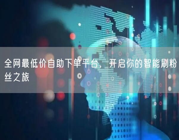 全网最低价自助下单平台,开启你的智能刷粉丝之旅