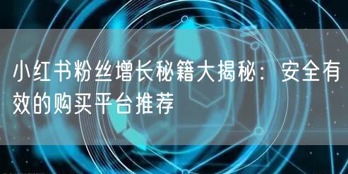 小红书粉丝增长秘籍大揭秘:安全有效的购买平台推荐