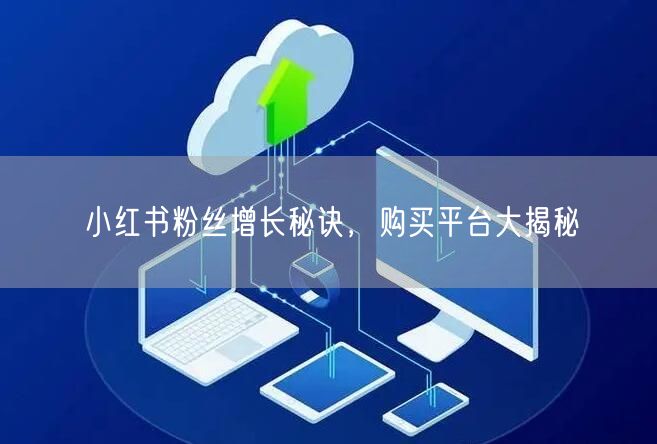 小红书粉丝增长秘诀,购买平台大揭秘