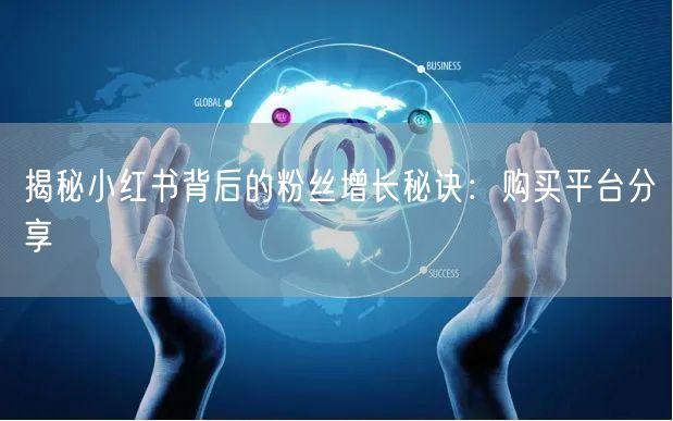 揭秘小红书背后的粉丝增长秘诀:购买平台分享