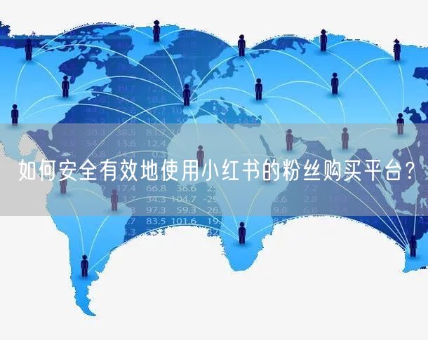 如何安全有效地使用小红书的粉丝购买平台?