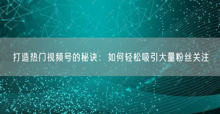 打造热门视频号的秘诀：如何轻松吸引大量粉丝关注