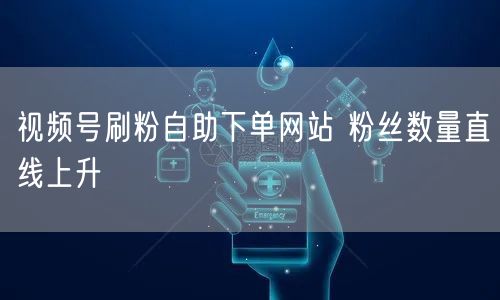 视频号刷粉自助下单网站 粉丝数量直线上升