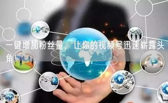 一键增加粉丝量,让你的视频号迅速崭露头角!